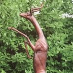 Waco Sculpture Zoo - Gerenuk