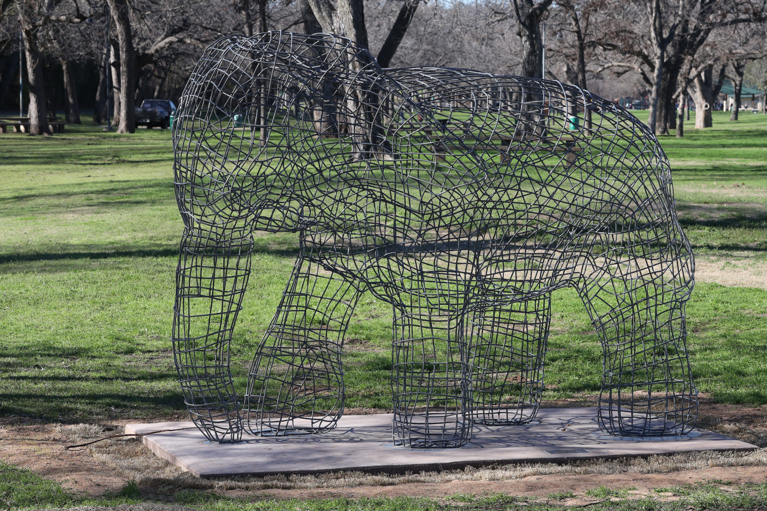 Sculptures Waco Sculpture Zoo