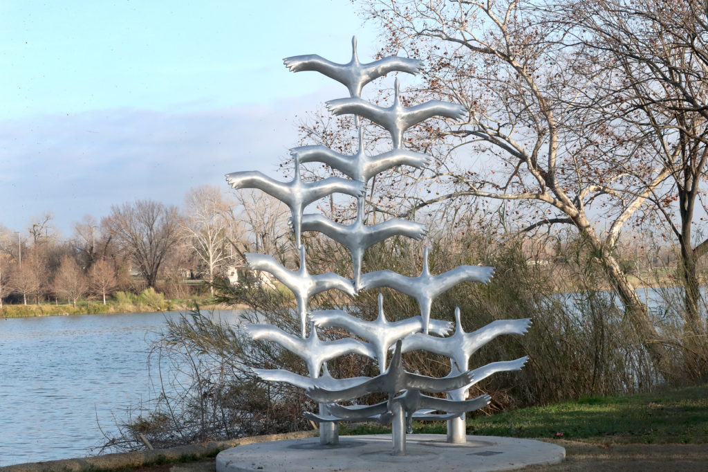 Waco Sculpture Zoo - Taking Flight