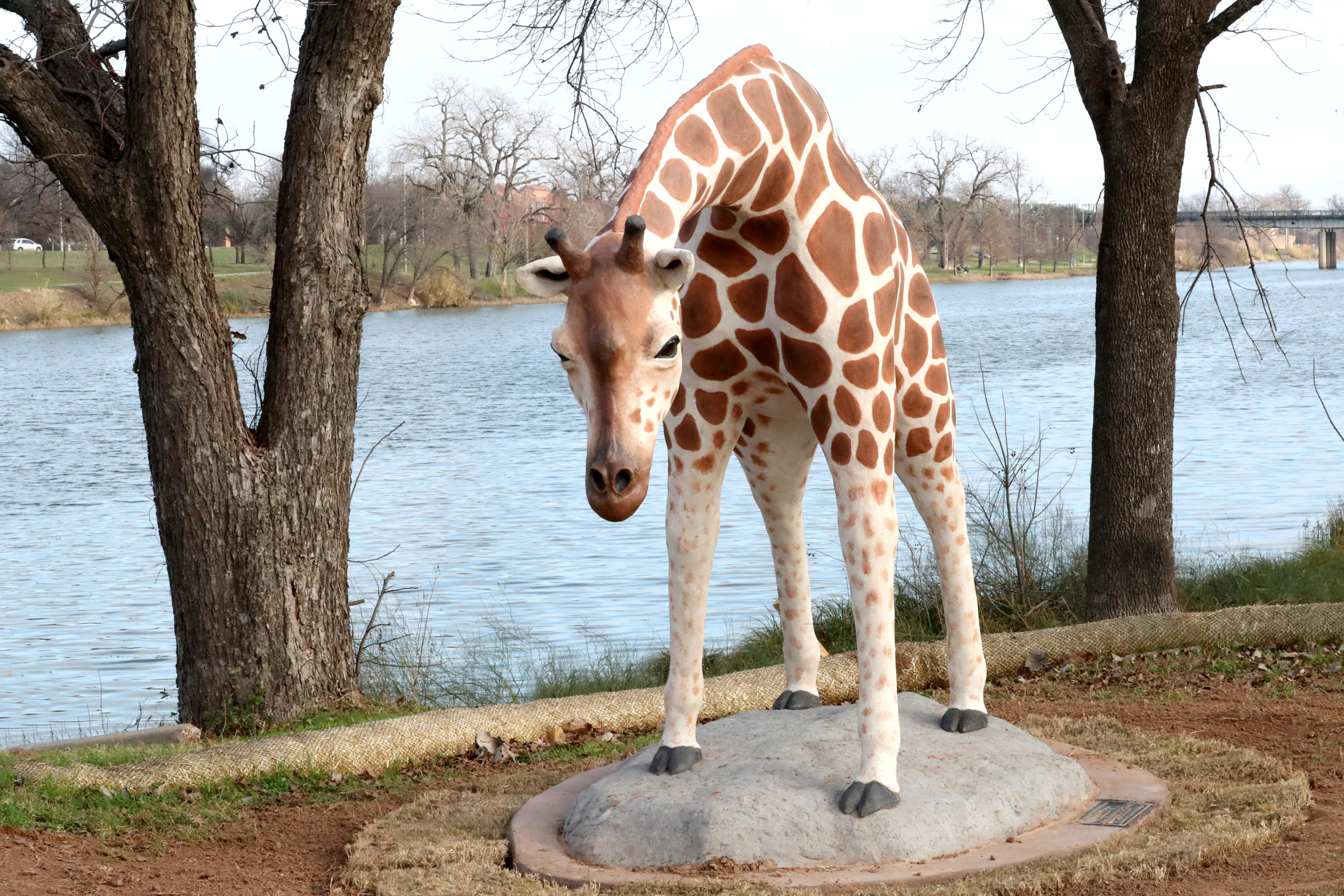 Giraffe - Waco Sculpture Zoo