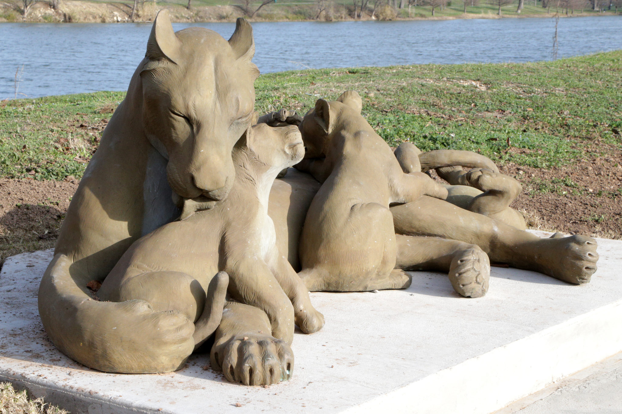 Sculptures Waco Sculpture Zoo