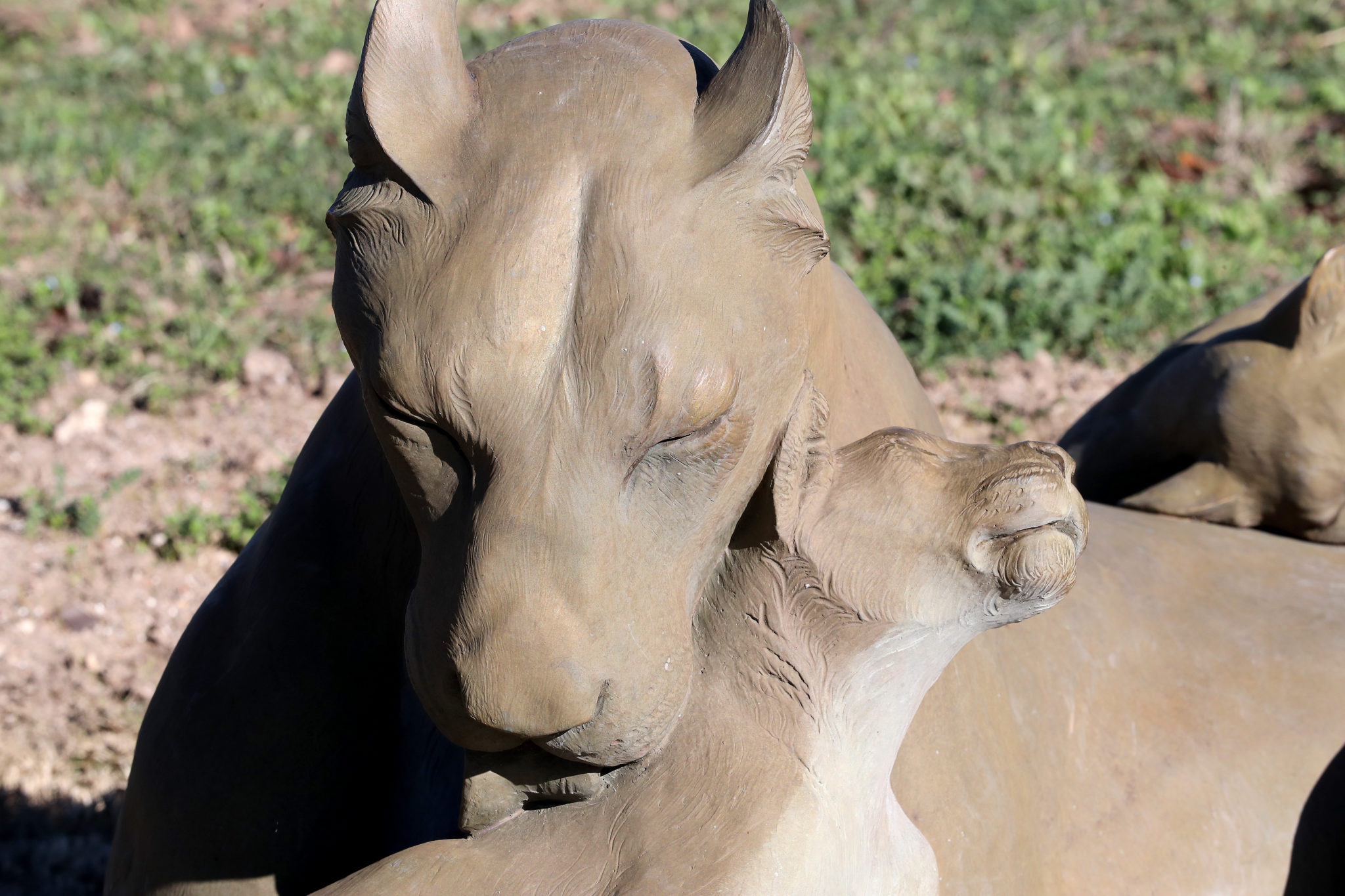 Lioness with Cubs Waco Sculpture Zoo