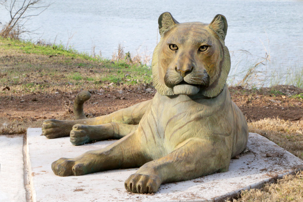Waco Sculpture Zoo - Sumatran Tiger Front