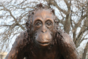 Waco Sculpture Zoo - The Kids Face