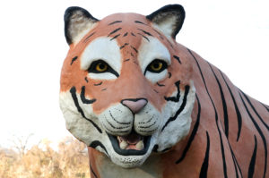 Waco Sculpture Zoo - Tyson Face