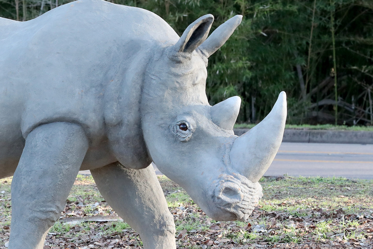 White Rhino Waco Sculpture Zoo