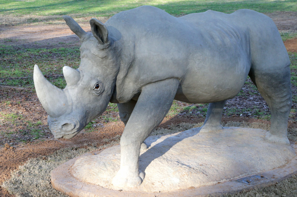 Waco Sculpture Zoo - White Rhino