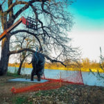 Waco Sculpture Zoo - Wise Elephant Install