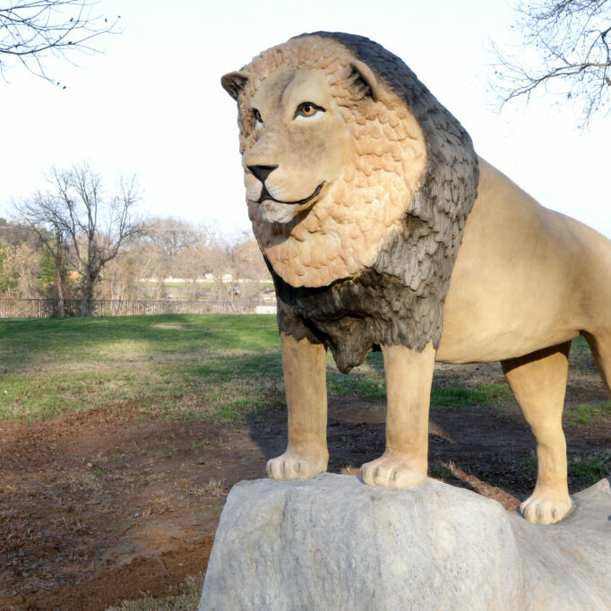 Waco Sculpture Zoo - African Lion