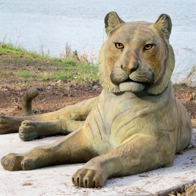 Waco Sculpture Zoo - Sumatran Tiger Front